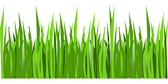 חושבים על הנבטת microgreen? איזה ציוד הנבטה צריך?